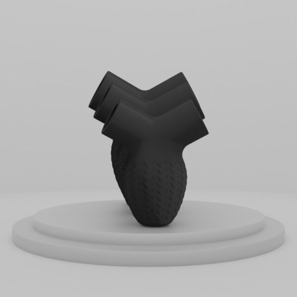 Y model - Image 6